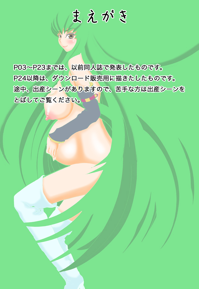 [FAT CATS (片瀬3000GT)] C.C.が後ろから前からヤられてる!～産んじゃった編～ (コードギアス 反逆のルルーシュ) [DL版]