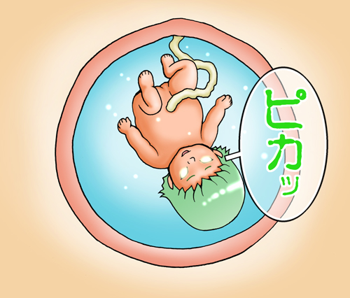 [FAT CATS (片瀬3000GT)] C.C.が後ろから前からヤられてる!～産んじゃった編～ (コードギアス 反逆のルルーシュ) [DL版]