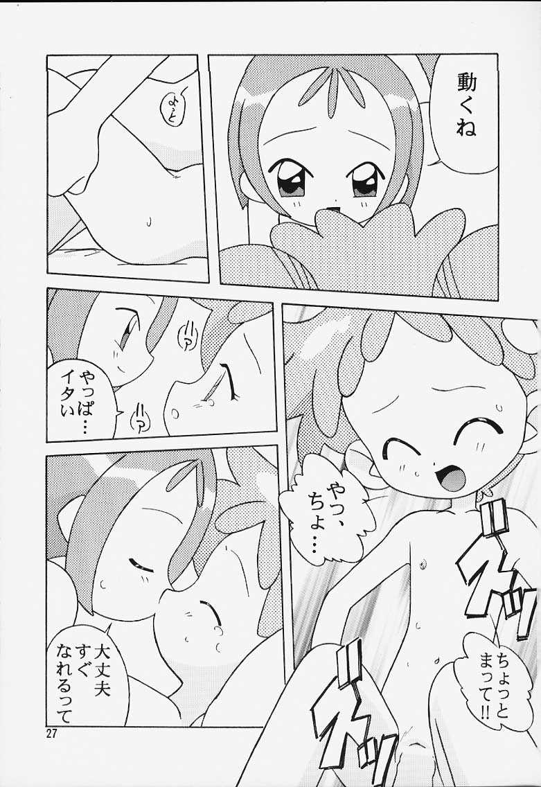 {サークルヘロン}曲げわ​​っぱ14