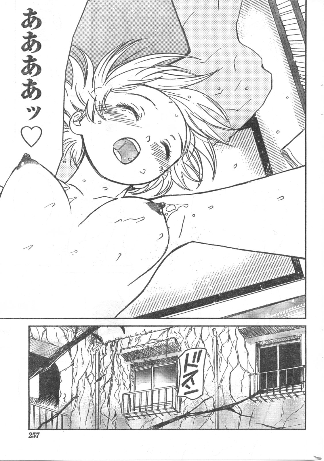 コミックドキ[2008/06]