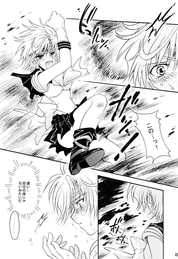 (C66) [小鳥事務所 (桜文鳥)] この生命誰のもの (セーラームーン)
