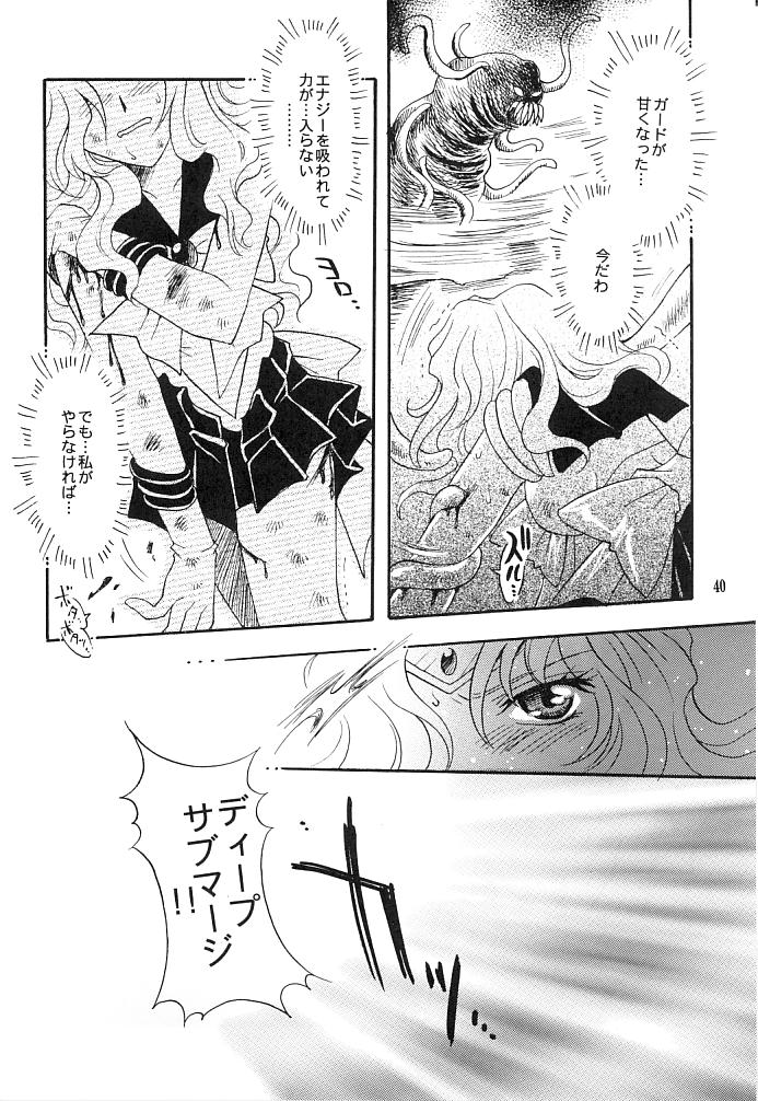 (C66) [小鳥事務所 (桜文鳥)] この生命誰のもの (セーラームーン)