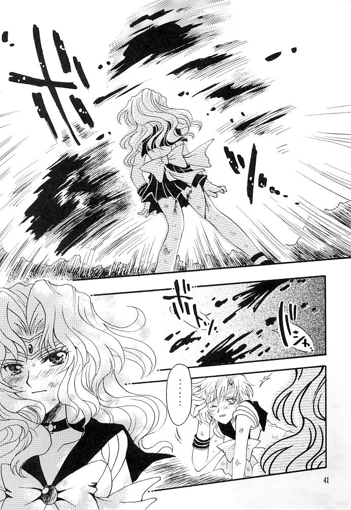 (C66) [小鳥事務所 (桜文鳥)] この生命誰のもの (セーラームーン)