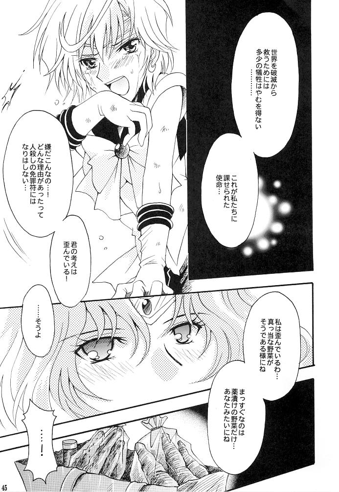 (C66) [小鳥事務所 (桜文鳥)] この生命誰のもの (セーラームーン)