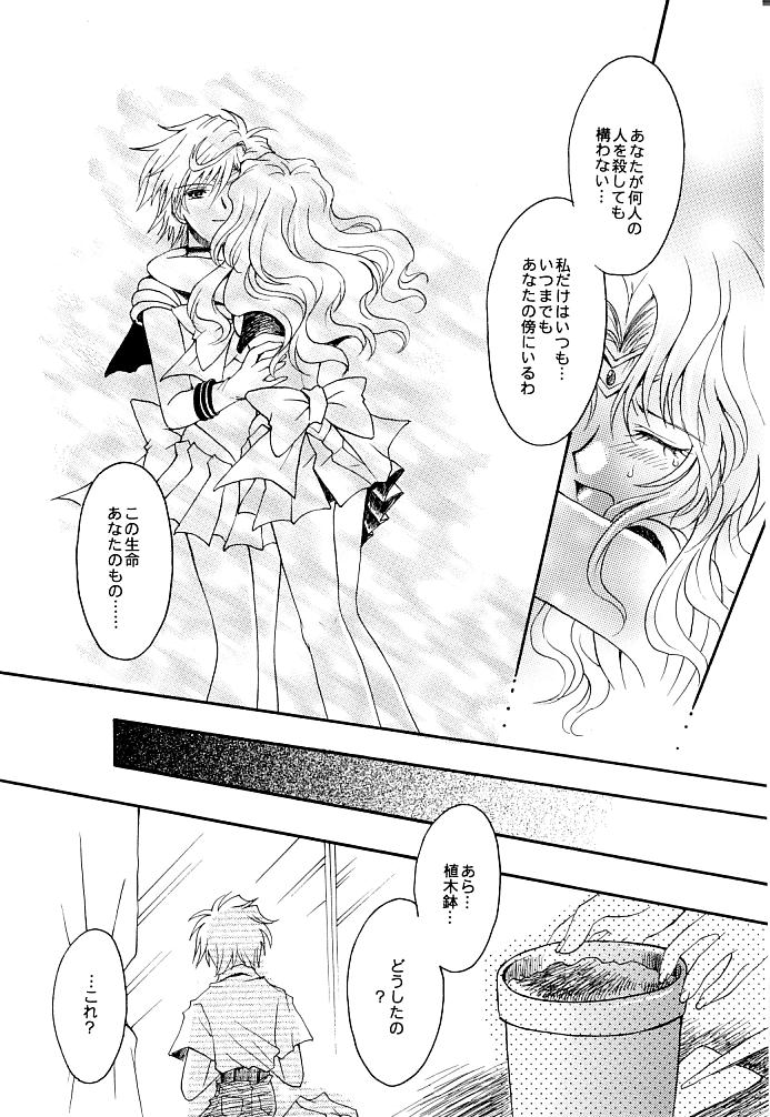 (C66) [小鳥事務所 (桜文鳥)] この生命誰のもの (セーラームーン)