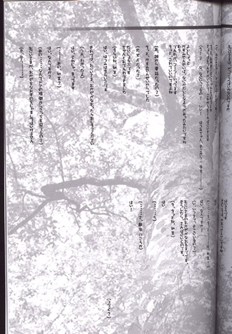 (C62) [CARNELIAN (CARNELIAN)] 月落葉 其の三 (顔のない月)