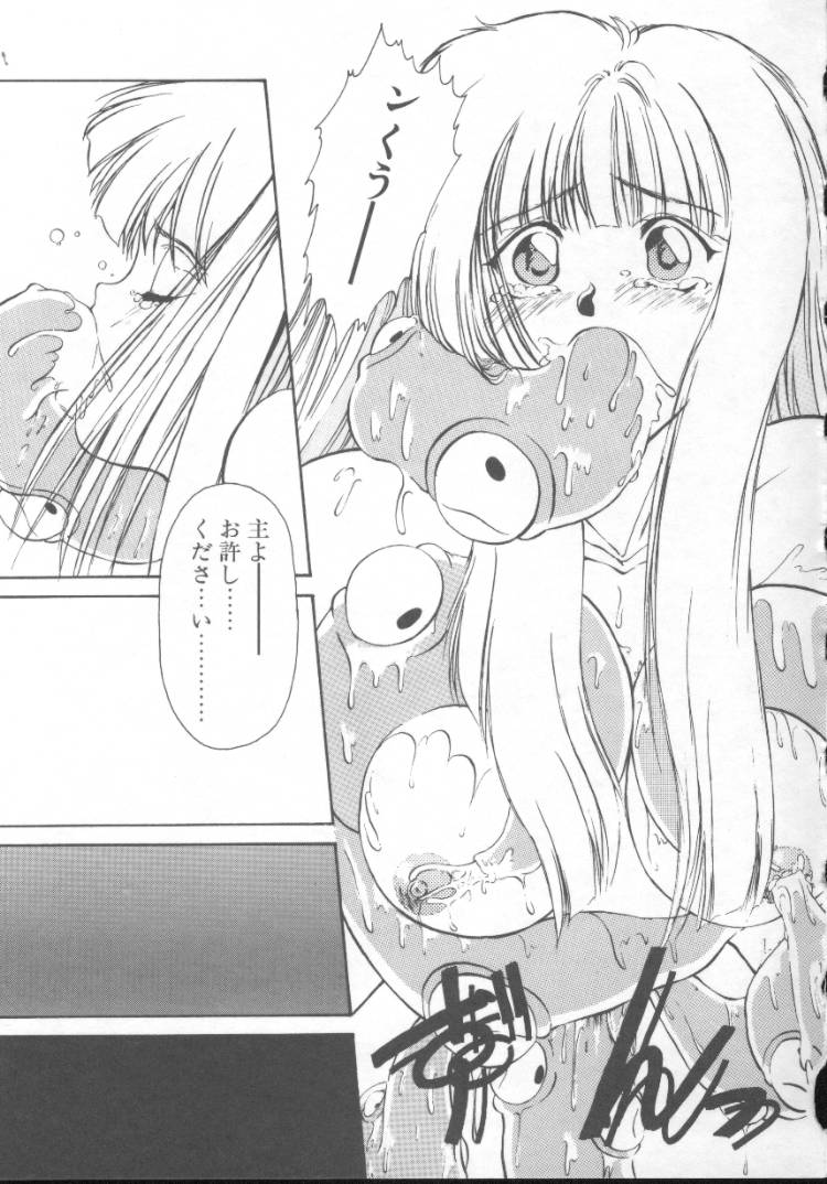 【にしき義統】妖精カウンター