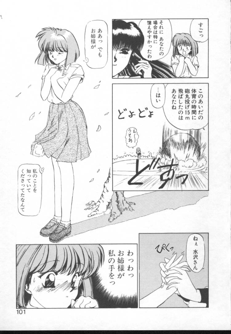 【にしき義統】妖精カウンター