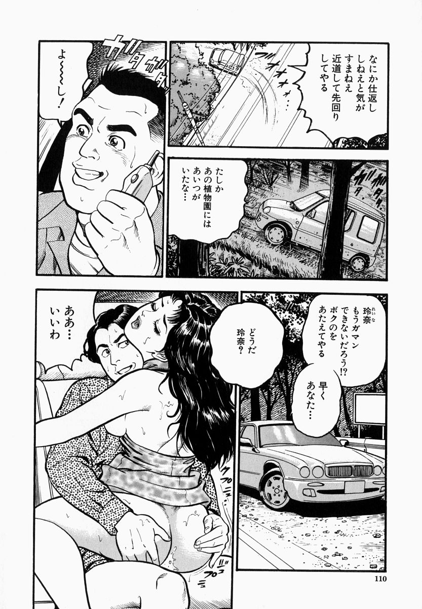 [宝耕介] 一夜妻