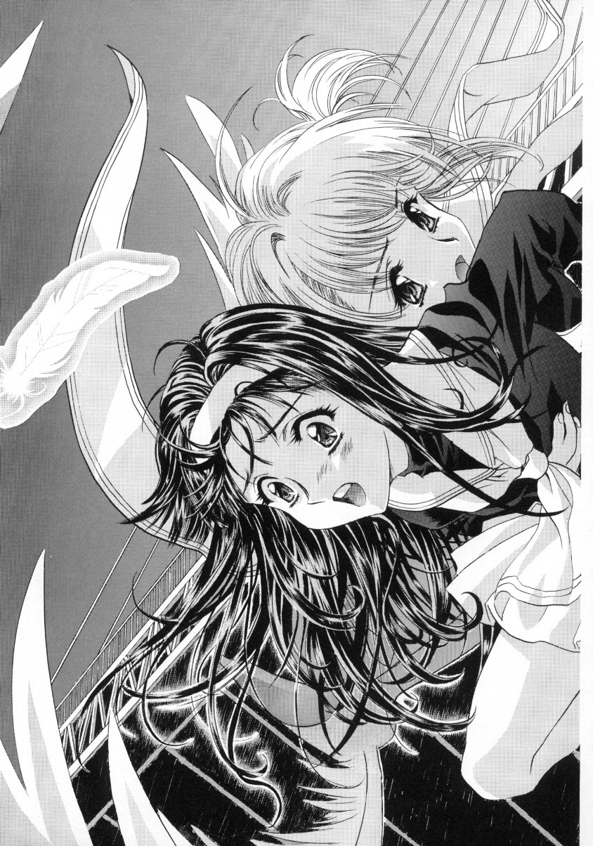 【ヘンレイカイ】さくら雨ファイナル2