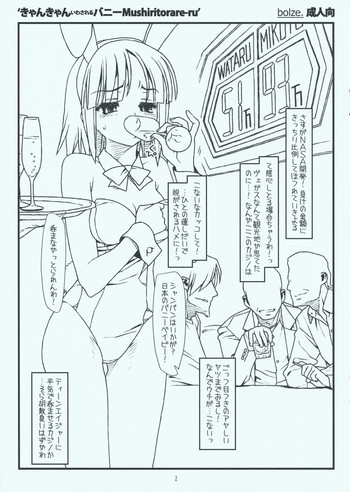 (サンクリ42) [bolze. (rit.)] きゃんきゃんいわされるバニー Mushiritorare-ru (ハヤテのごとく！)