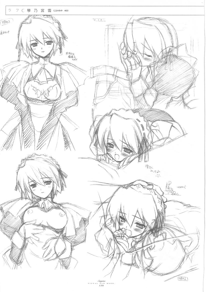 水月ビジュアルファンブック