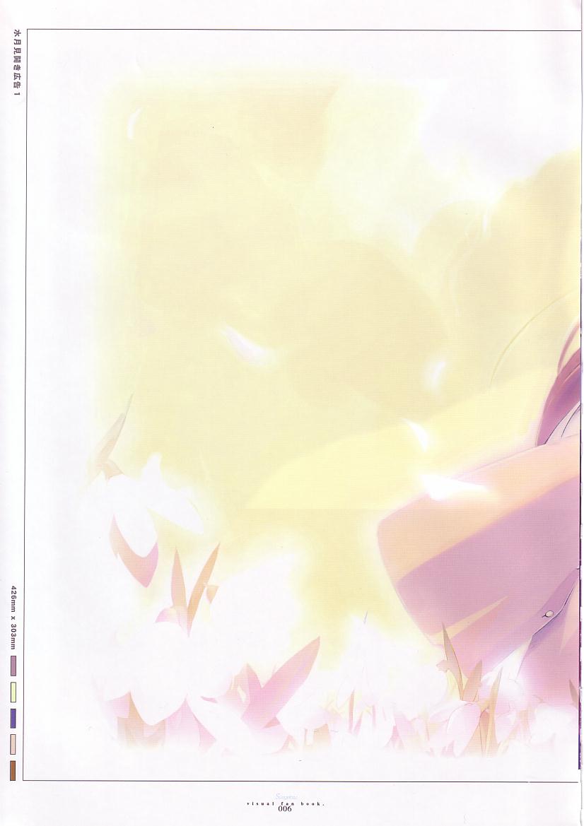 水月ビジュアルファンブック