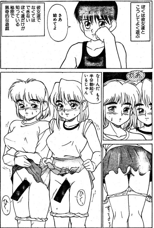 [トランプ]秘密の遊び男性と女性の原則