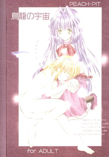 [PEACH-PIT (ブランドン博士, ディラン教授)] 鳥籠の宇宙 (カノン)