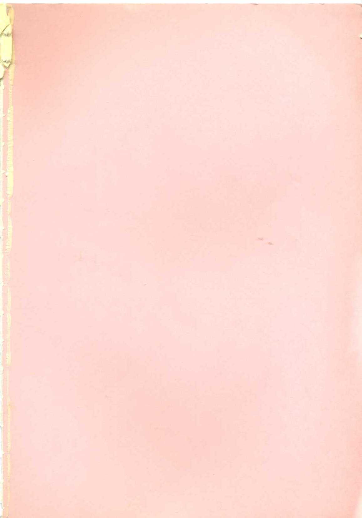 [ちゃたろー] まるまるアイドル