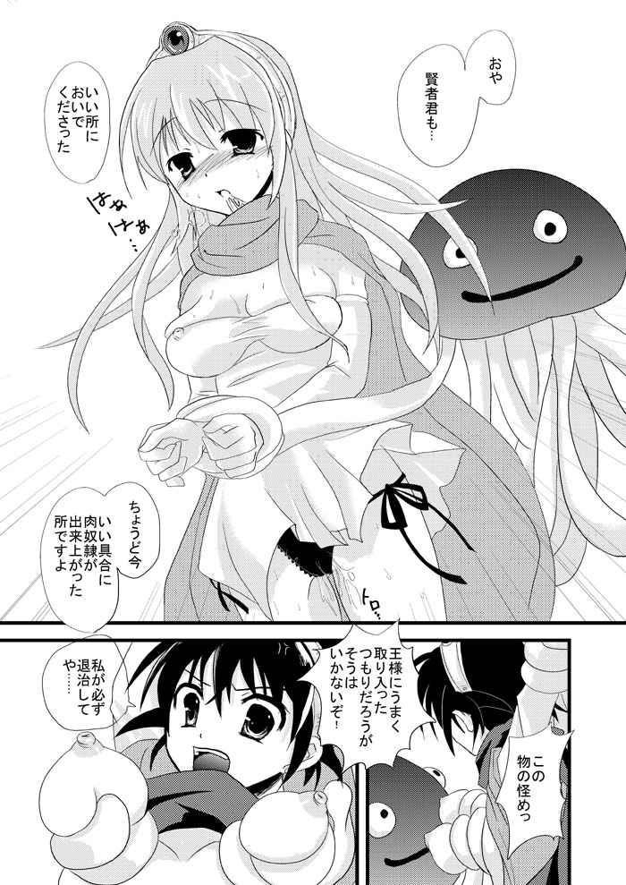 (サンクリ33) [サモエデスト (万国あゆや)] 絶対陵辱命令 (ドラゴンクエストIII)