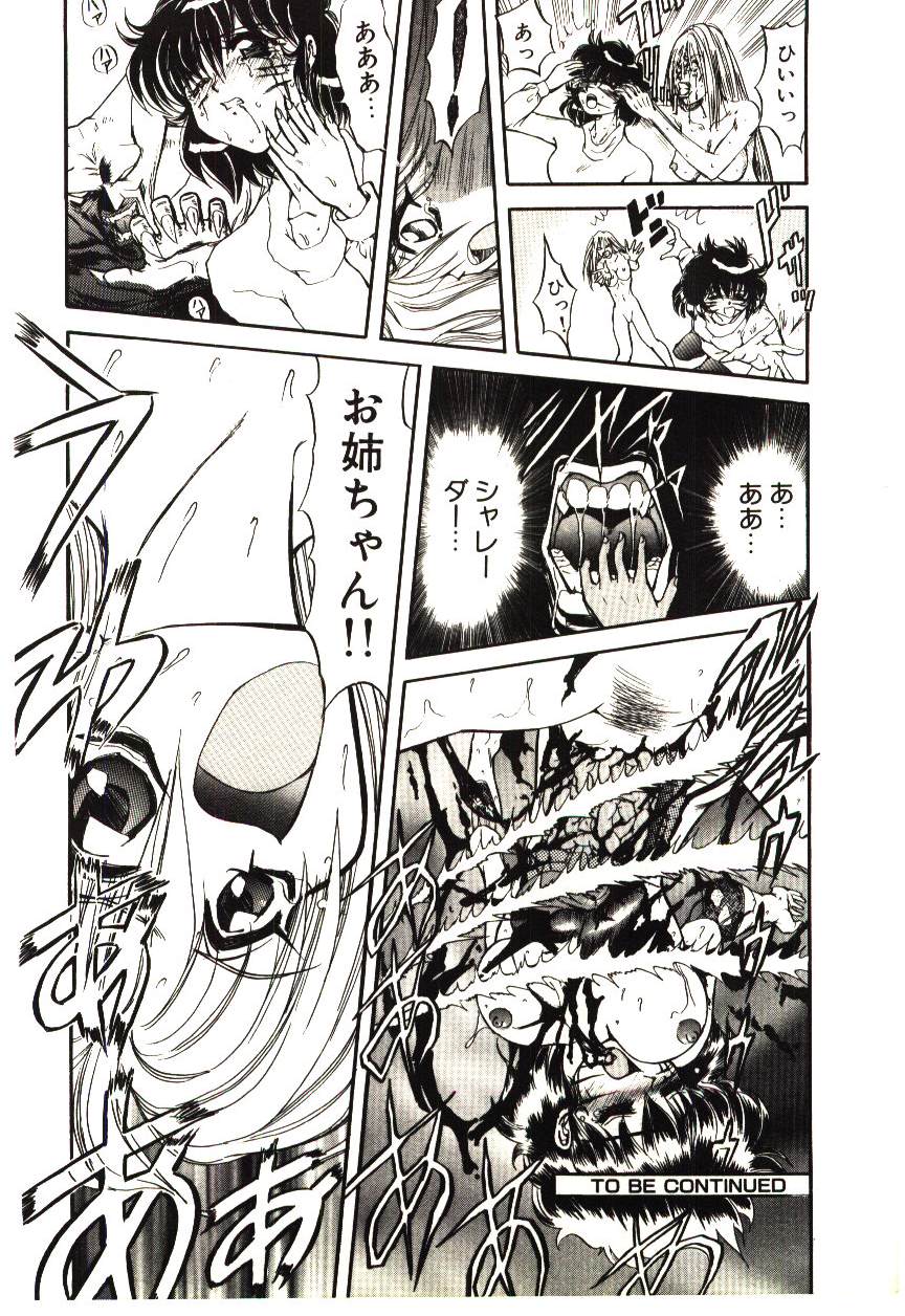 [MARO] シャレーダー