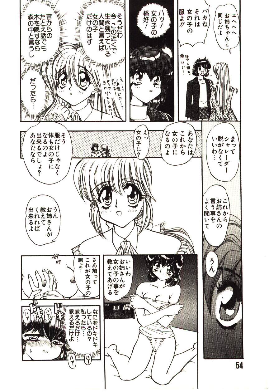 [MARO] シャレーダー
