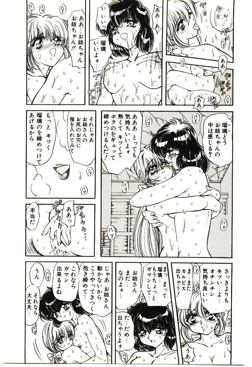 [MARO] シャレーダー