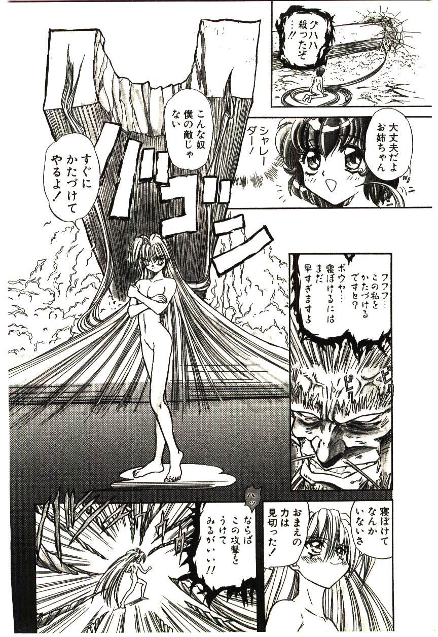[MARO] シャレーダー