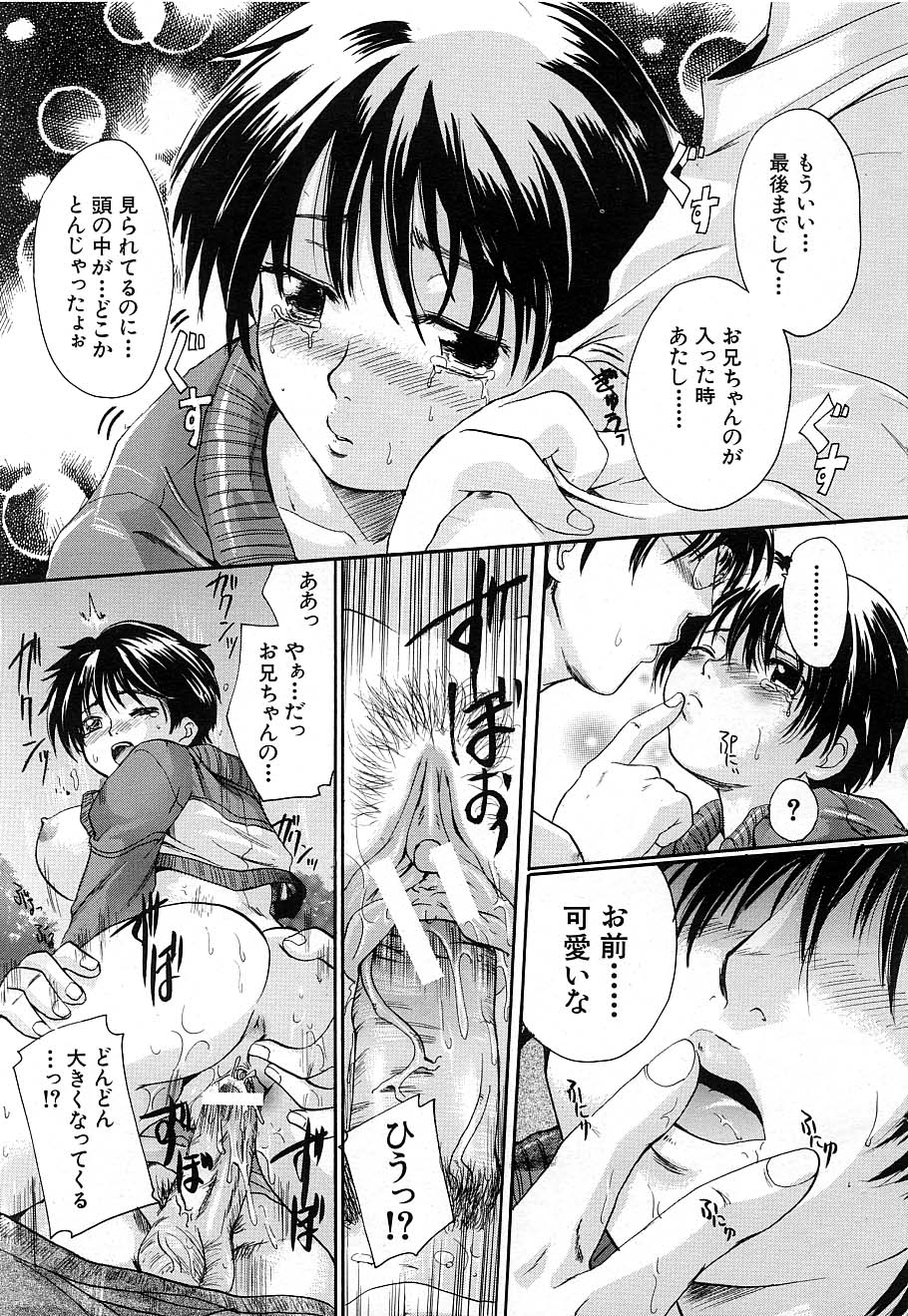 COMIC MUJIN 2006年12月号