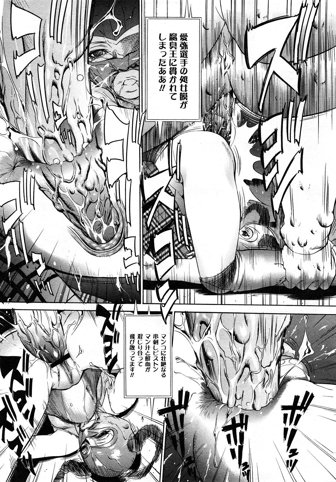 コミック メガGOLD 2008年01月号 Vol.04