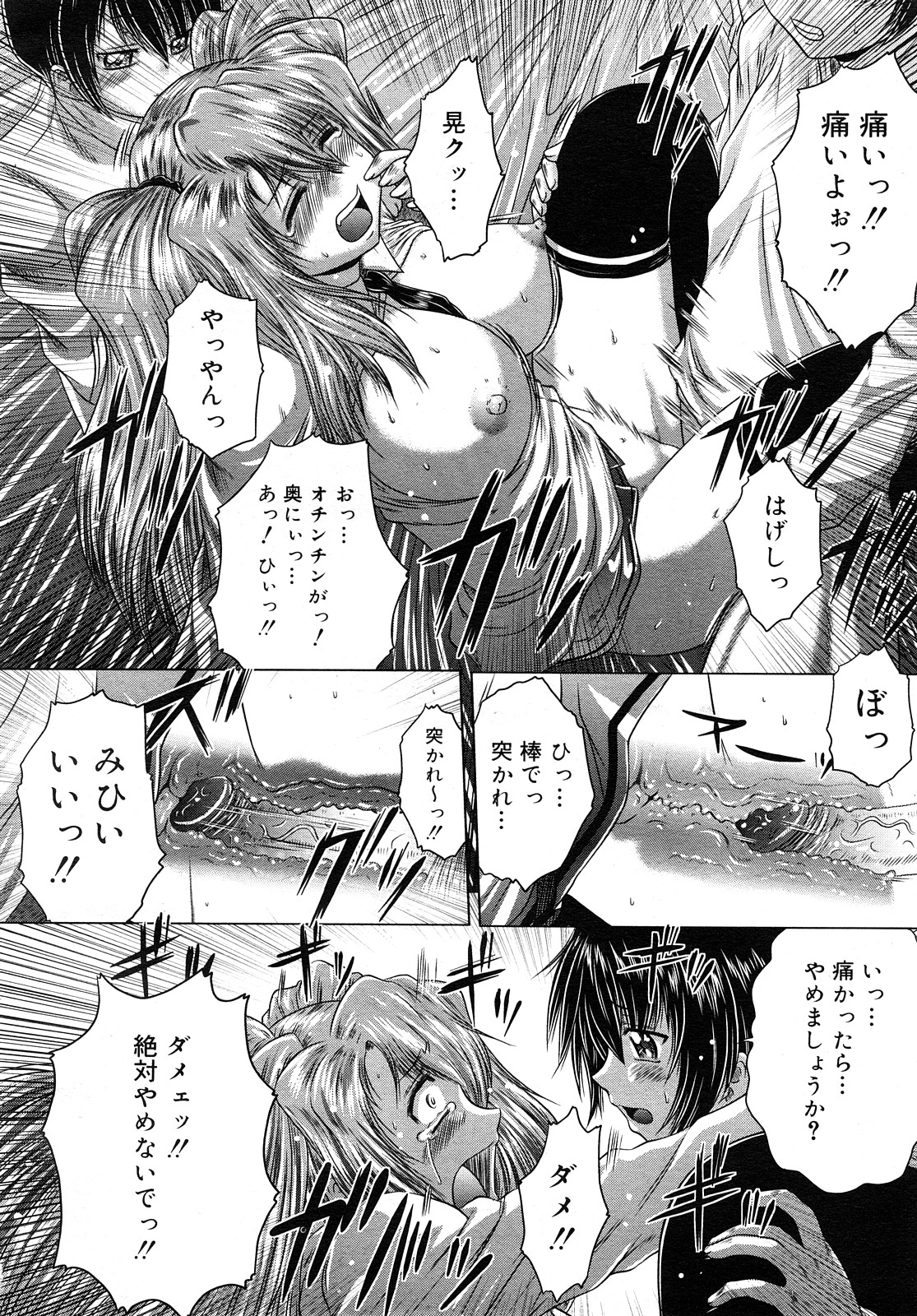 コミック メガGOLD 2008年01月号 Vol.04