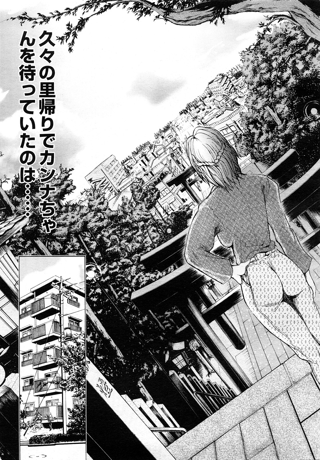 コミック メガGOLD 2008年01月号 Vol.04