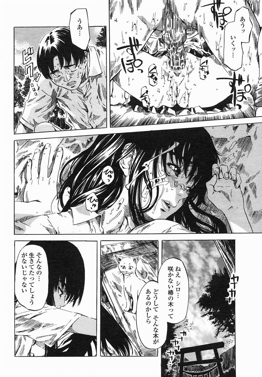 COMIC ヒメザクラ 2005年4月号 vol.4