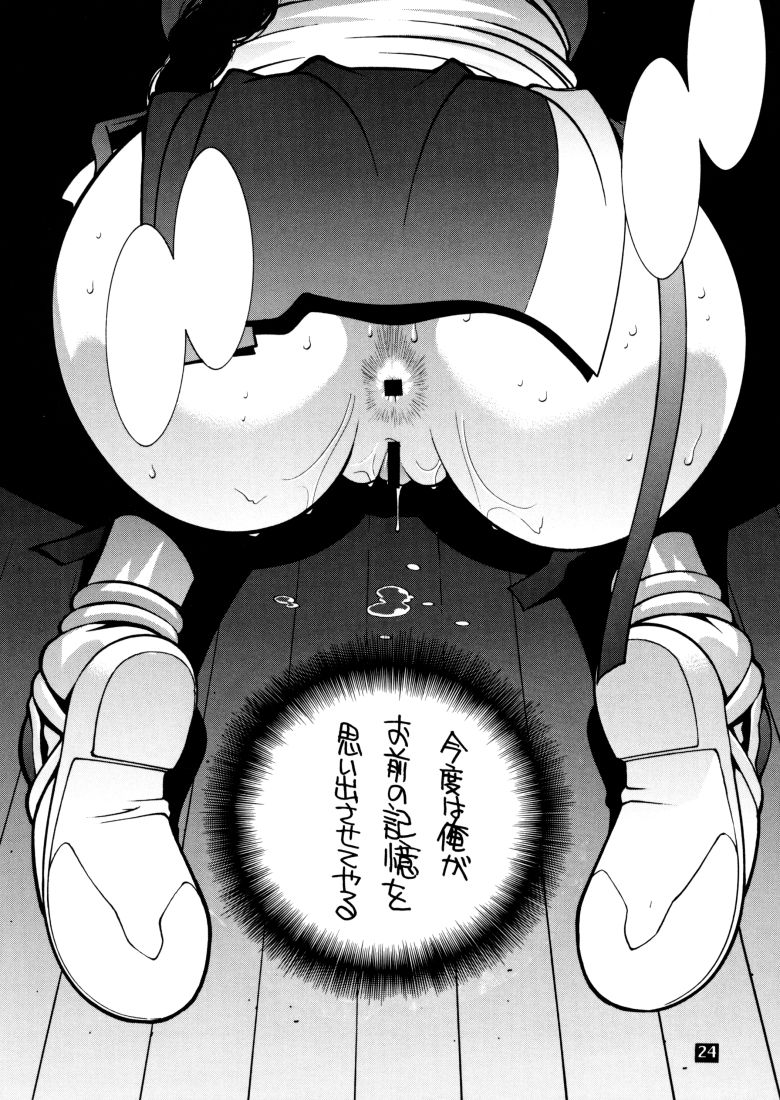 (C58) [P-collection (のりはる、 野々村秀樹)] 霞。 (デッドオアアライブ、ストリートファイター)