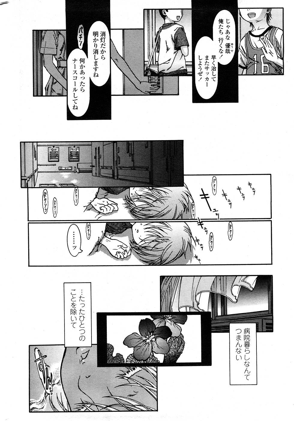 COMIC ペンギンセレブ 2009年2月号 Vol.18 [ページ欠落]