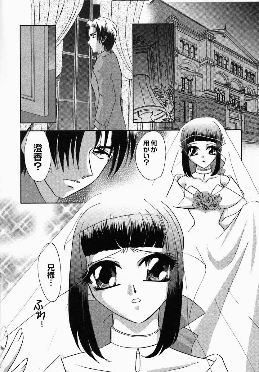 [徳永孔雀] 思慕