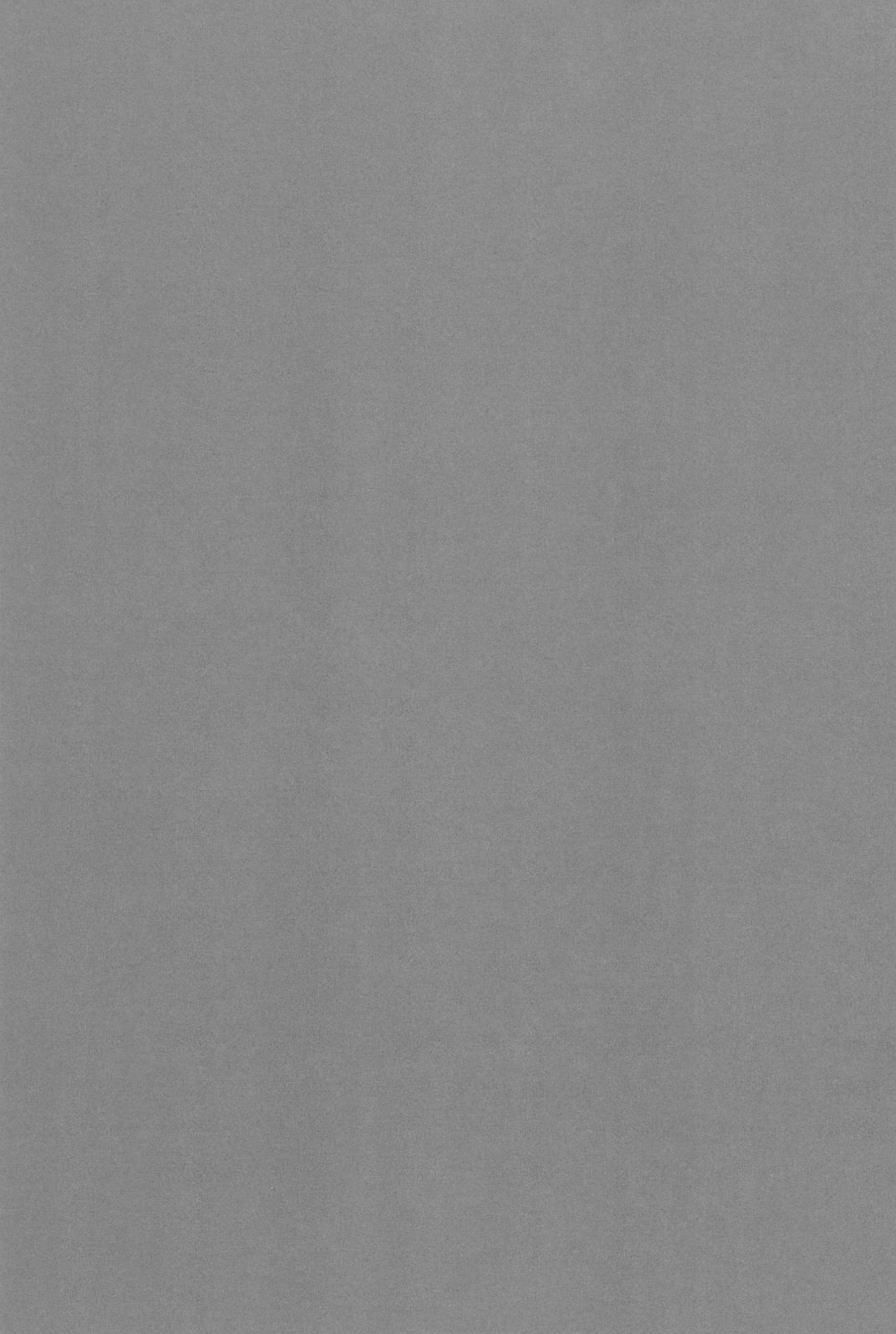 (C92) [MAPLER (まぷる)] 美鈴ちゃんの夏休み日記帳