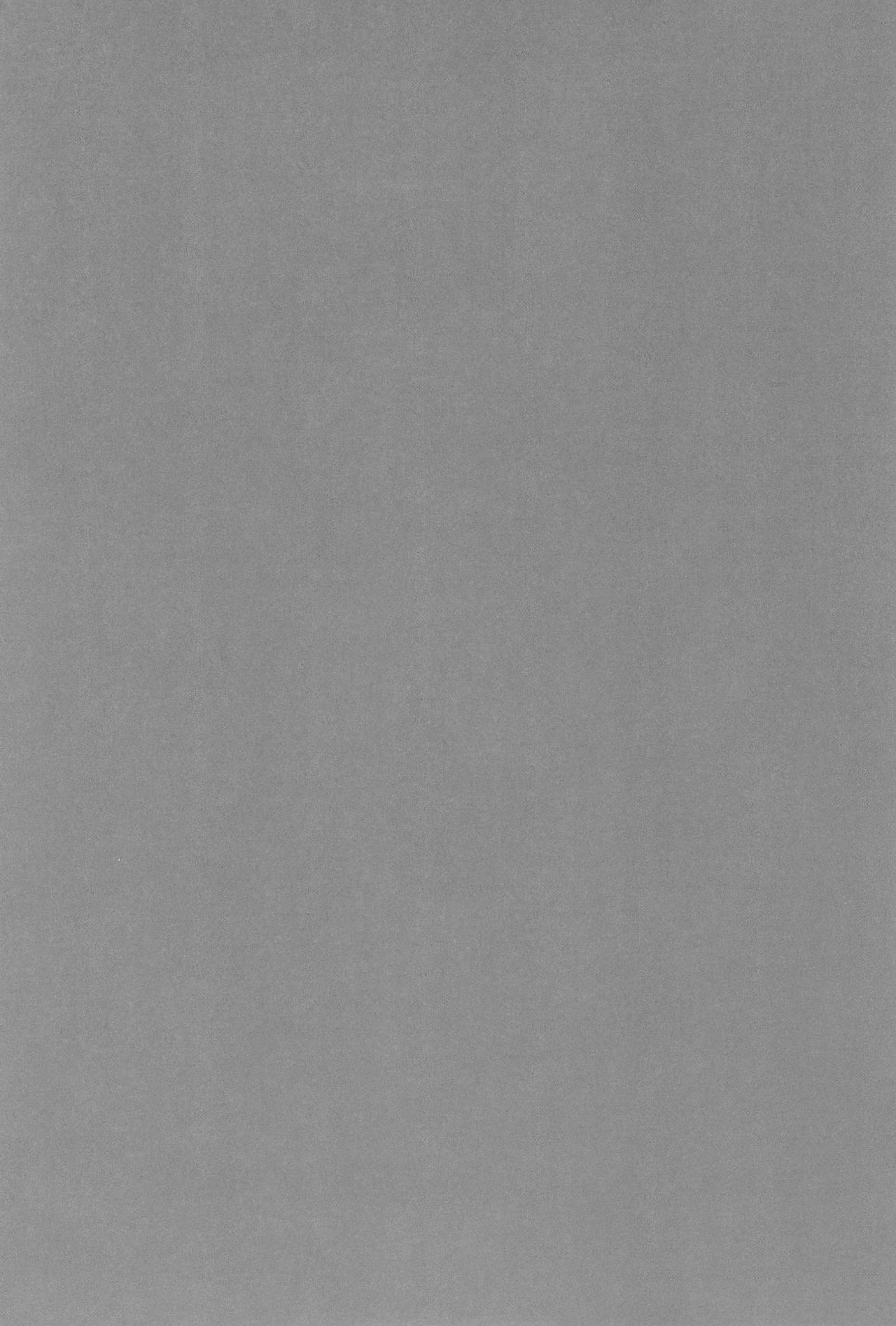 (C92) [MAPLER (まぷる)] 美鈴ちゃんの夏休み日記帳