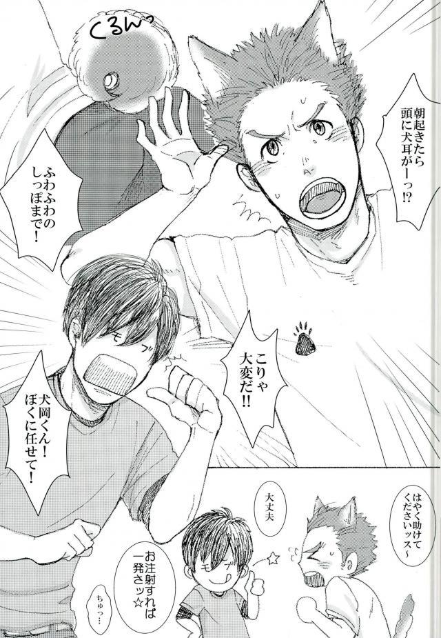 ココ♂掘れわんわんっ！ (ハイキュー!!)