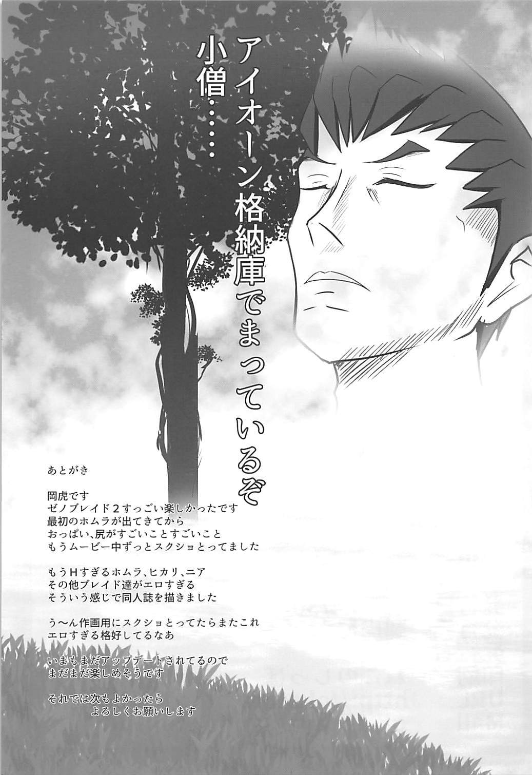 (COMIC1☆13) [岡虎屋 (岡虎)] HOMUHIKAex (ゼノブレイド2)