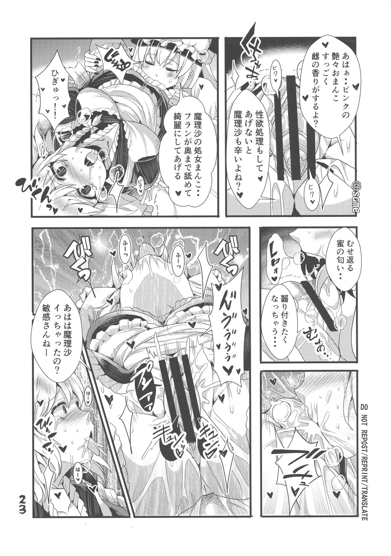 (紅楼夢13) [月鮫工房 (鮫かまぼこ)] ふたなり妹様の愛玩人形 (東方Project)