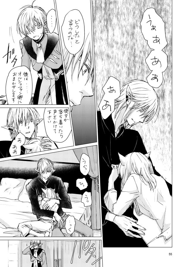 [ASM-P (みっき)] オル光まとめました (ファイナルファンタジーXIV) [DL版]