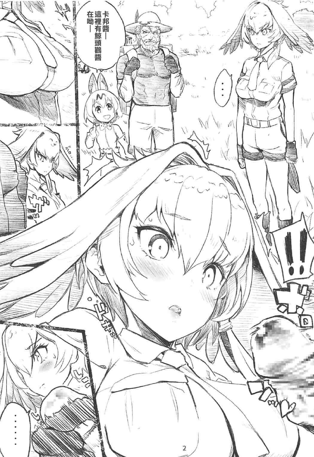 (COMIC1☆11) [ナイロン100% (ナイロン)] R18 RED DATA BOOK (けものフレンズ)[中国翻訳]