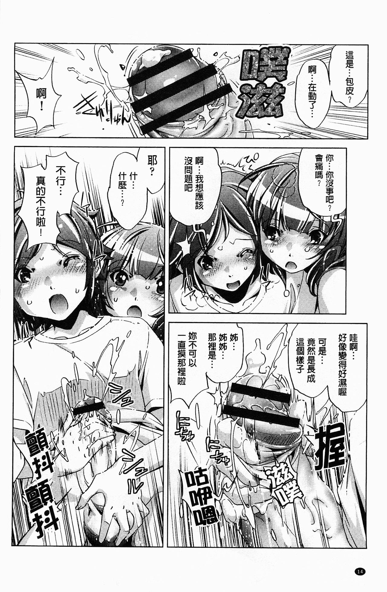 [おおとりりゅうじ] 飼い姉 [中国翻訳]