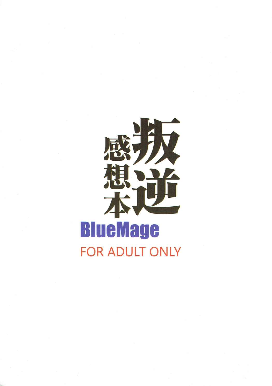 (もう何も恐くない13) [BlueMage (あおいまなぶ)] 叛逆感想本 (魔法少女まどか☆マギカ)