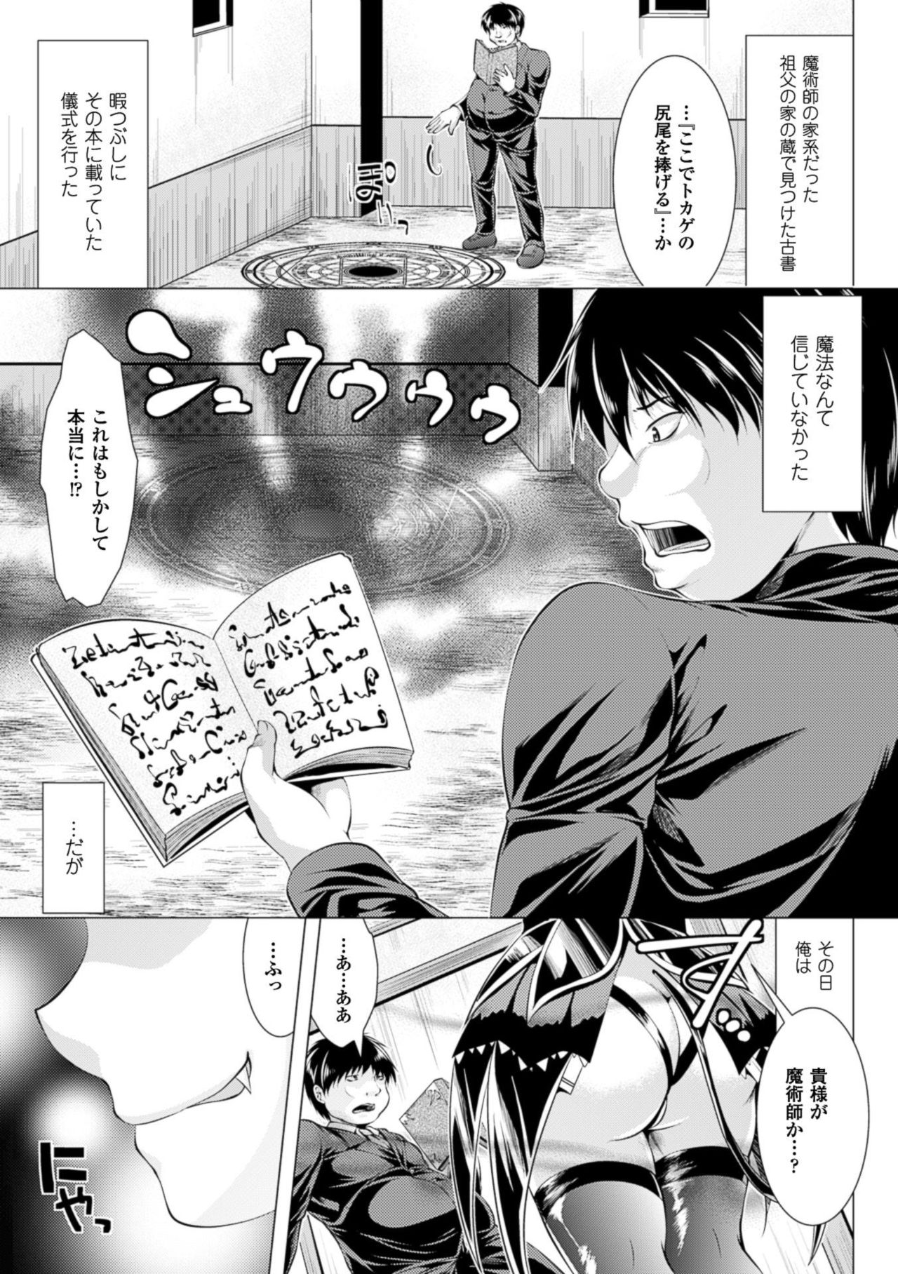 [松波留美] 異種姦幻想戯画 [DL版]