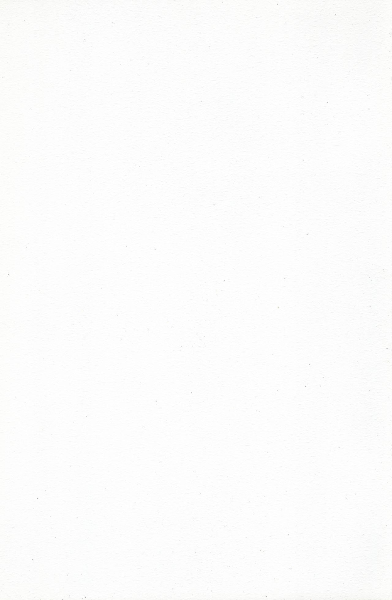 (C88) [Okina Flying Factory (OKINA)] ANALRINA