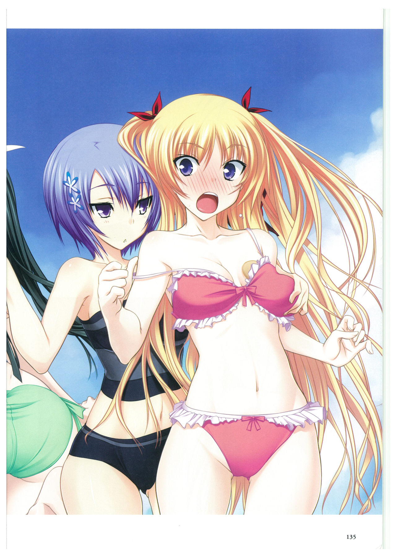 真剣で私に恋しなさい! ビジュアルファンブッ