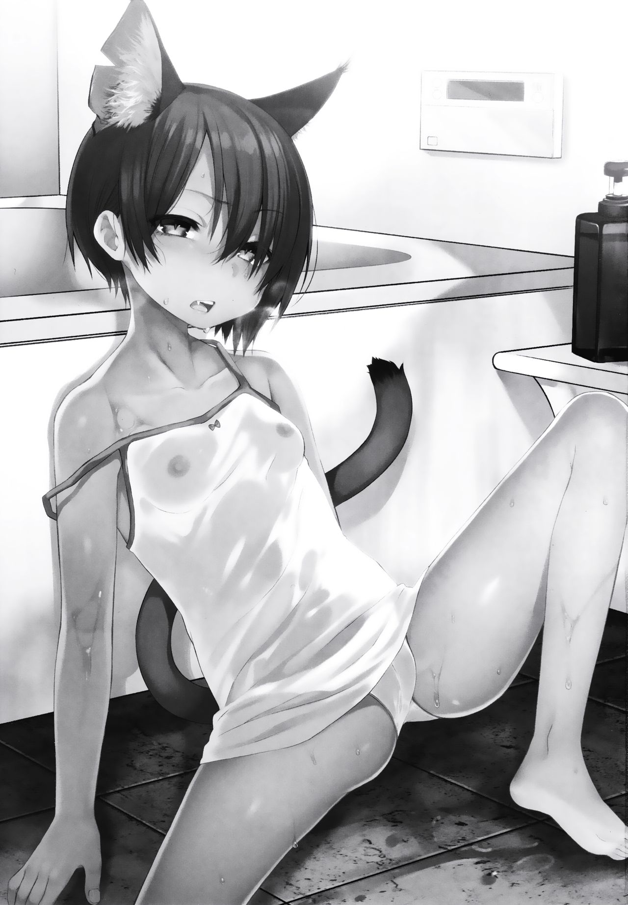 (C90) [秘密結社うさぎ (だんちょ)] CUSTOMLOVECATs 3rd