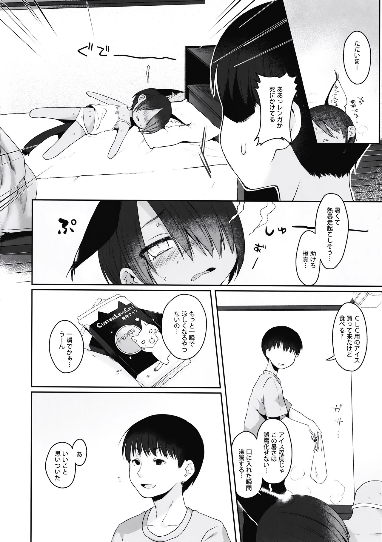 (C90) [秘密結社うさぎ (だんちょ)] CUSTOMLOVECATs 3rd