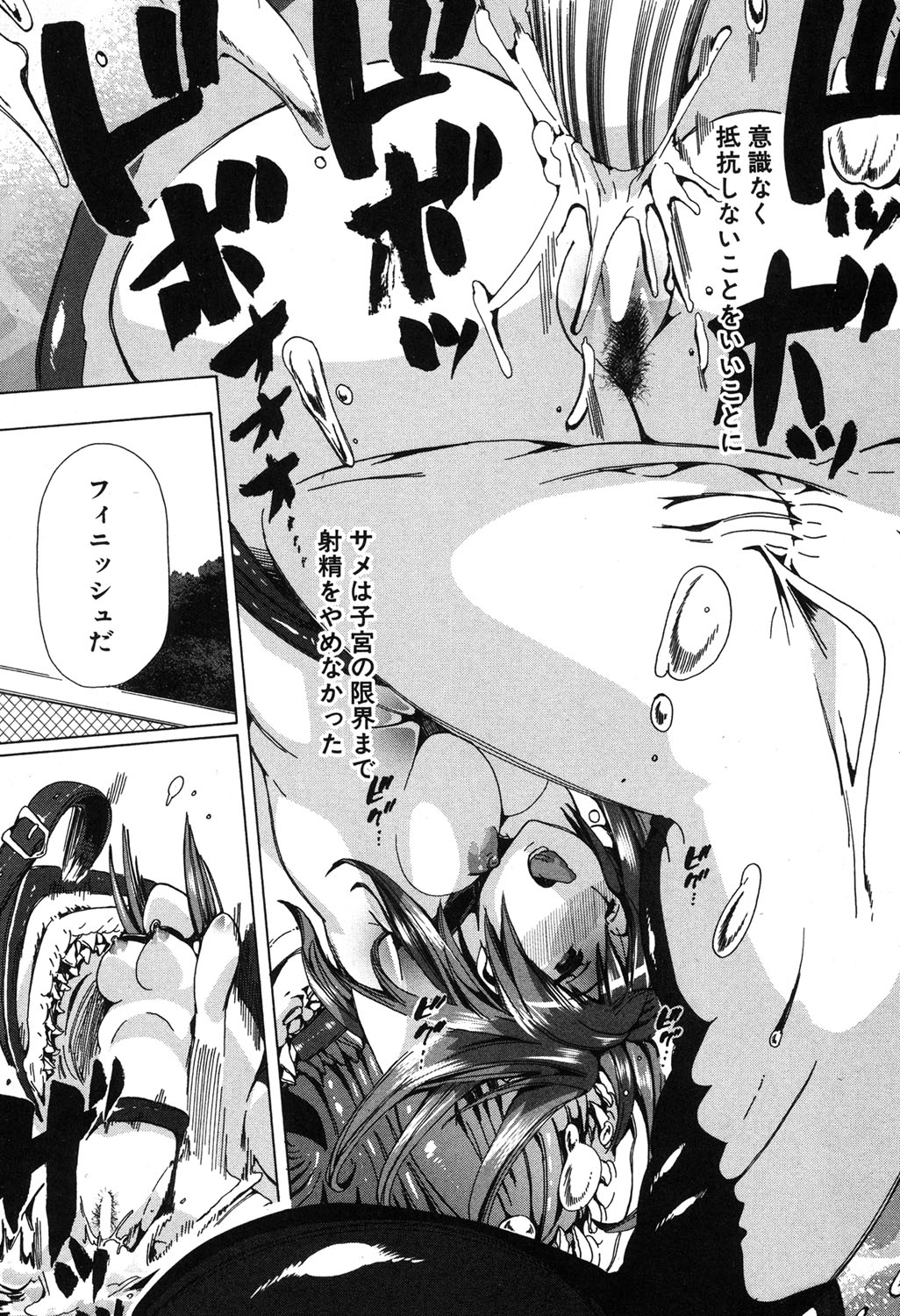 BUSTER COMIC 2016年5月号 [DL版]