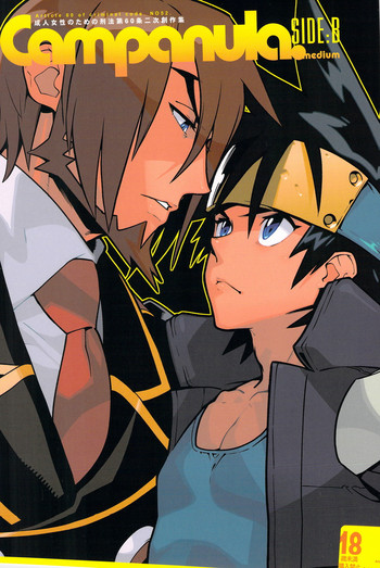 (C84) [刑法第60条 (主犯)] Campanula.SIDE:B (神羅万象チョコ)