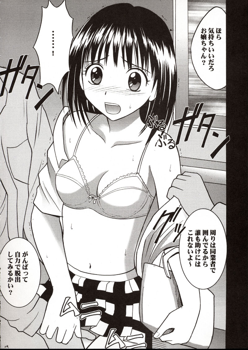 (サンクリ17) [クリムゾン (カーマイン)] 理奈痴漢被害 (プリティフェイス)